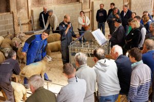 40 ans de l'association Mouton du Boulonnais