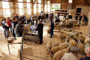 40 ans de l'association Mouton du Boulonnais